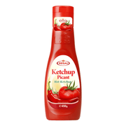 Ketchup picant Regal European Food, sos picant pentru cartofi, carne și sandvișuri