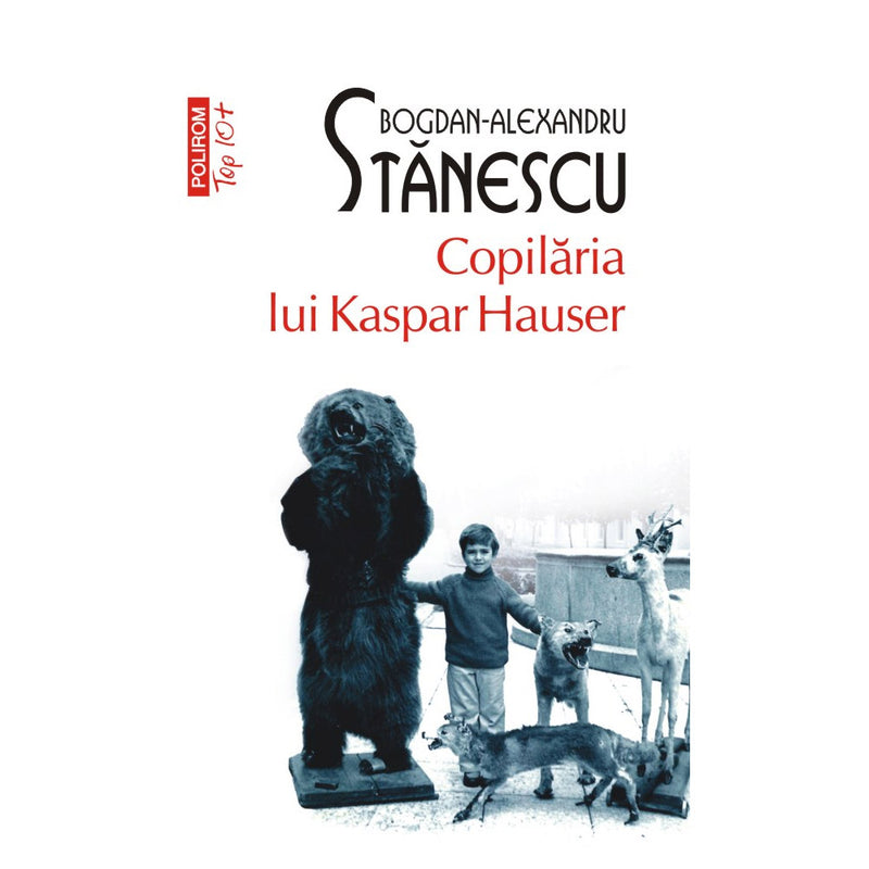 Copilaria lui Kaspar Hauser (editie de buzunar) - Bogdan-Alexandru Stanescu